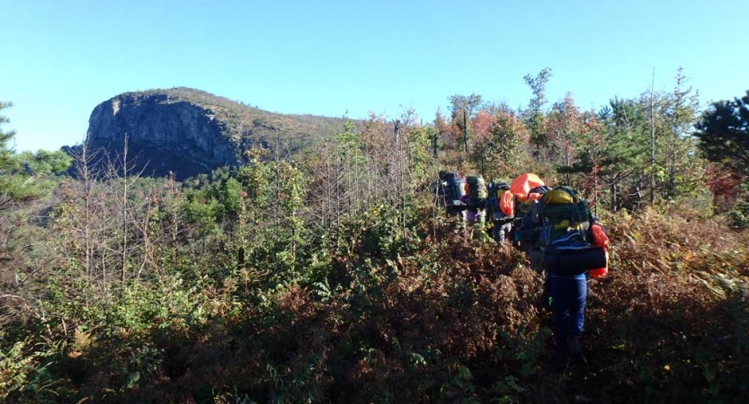 A group of people wearing backpacks hike away from the camera through green shrubs toward a rock formation in the background.